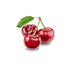 Branch Apple - Image 3
