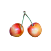 Branch Apple - Image 4
